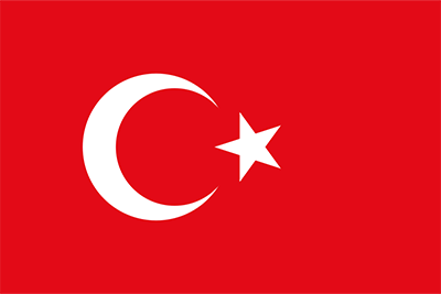 Türkçe